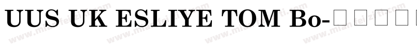 UUS UK ESLIYE TOM Bo字体转换